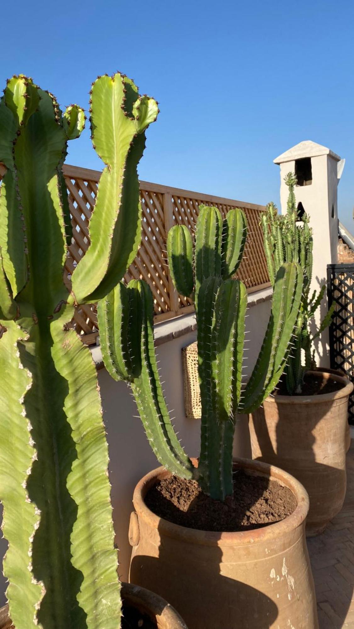 Riad Gasämbre Touareg Marrakesh Exterior foto